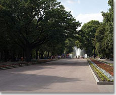 Харьков: сады и парки