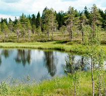 Финляндия – таежные леса, озера и Санта Клаус!